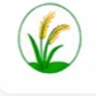 DSR Registration Punjab logo